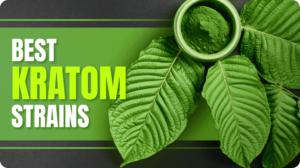 Best Kratom Strains