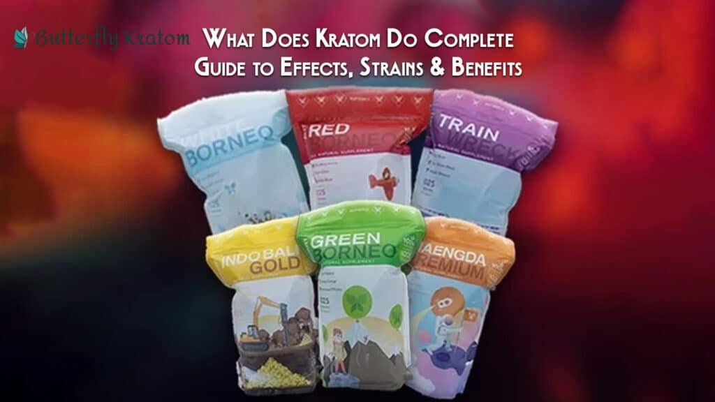 What Does Kratom Do Complete Guide to Effects, Strains & Benefits